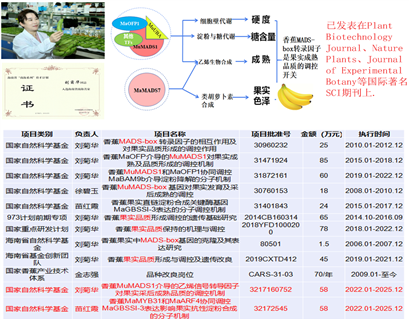 D:\团队宣传\2021省自然科学一等奖\图1-2.tiff