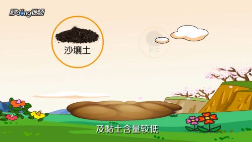 香蕉怎么种植？