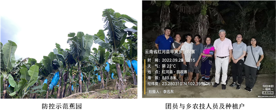 C:UserszlDesktop图片5.png