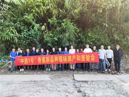 D:\团队宣传\2023\云南河口-中热1号现场查验会\微信图片_20231120172944.jpg