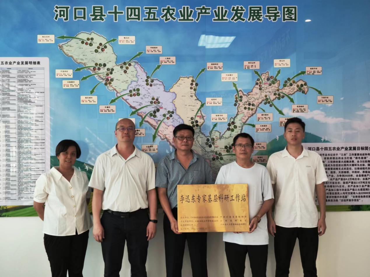 李迅东专家基层工作站在河口县水果技术推广站挂牌
