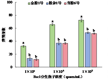 微信图片_20241016160842.png