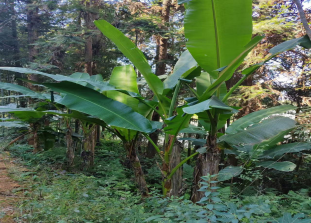 e4522dd8-2d6e-41cb-a6f6-4ca5ba3c9271.png