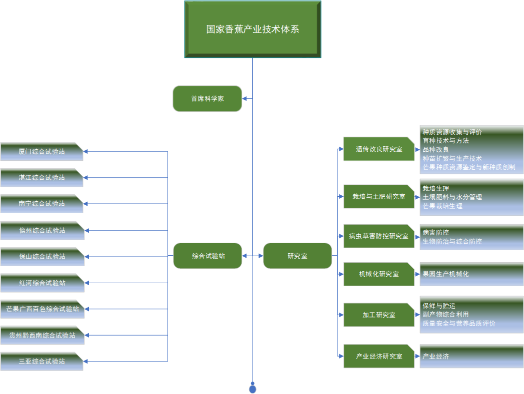 香蕉产业技术体系组织框架2024.png