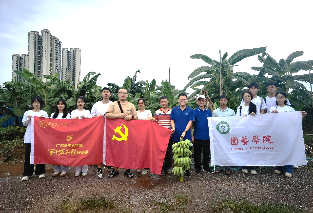图片 32