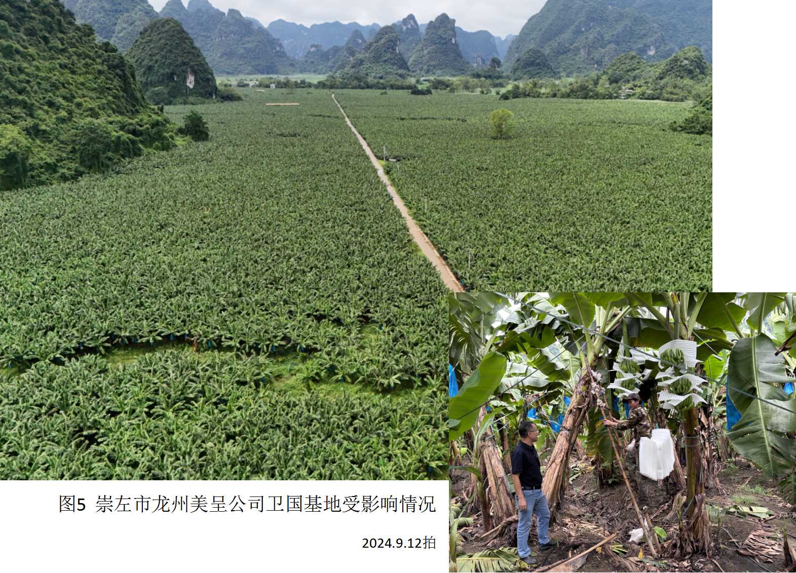 图片5.jpg