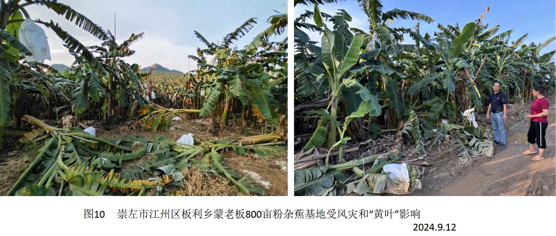 图片10.jpg