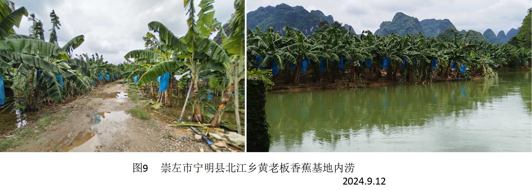 图片9.jpg