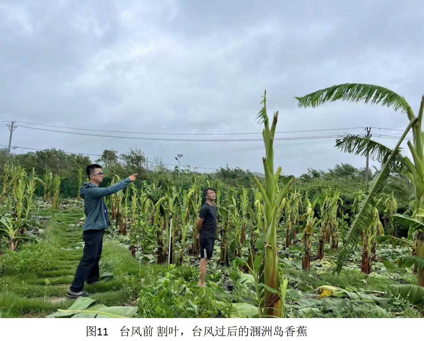 图片11.jpg