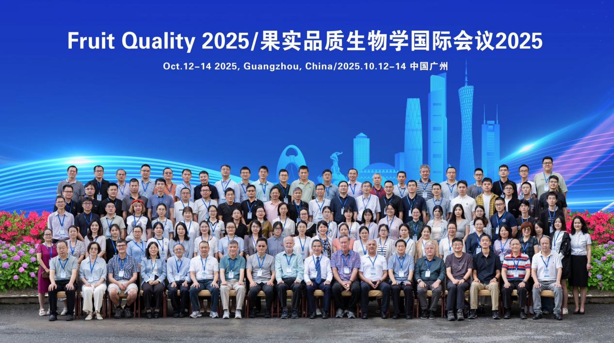 92fbed8dab4e2a715bd74caffe34f808