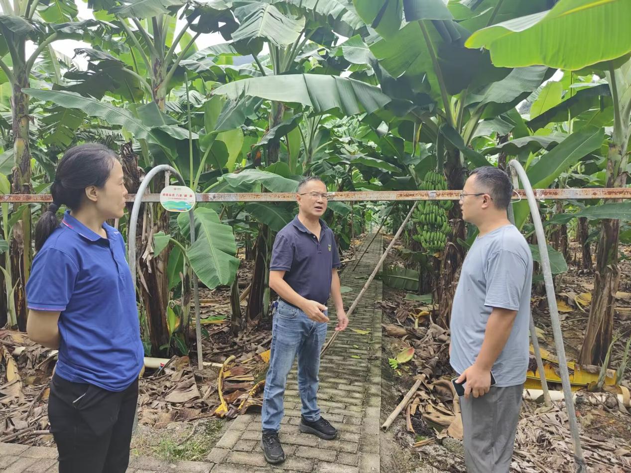 b52f77d40917ef9decb986c5e9881a3b