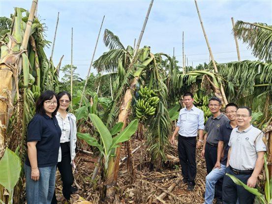 9884413d77642bdbc58f2be90fae7ecc