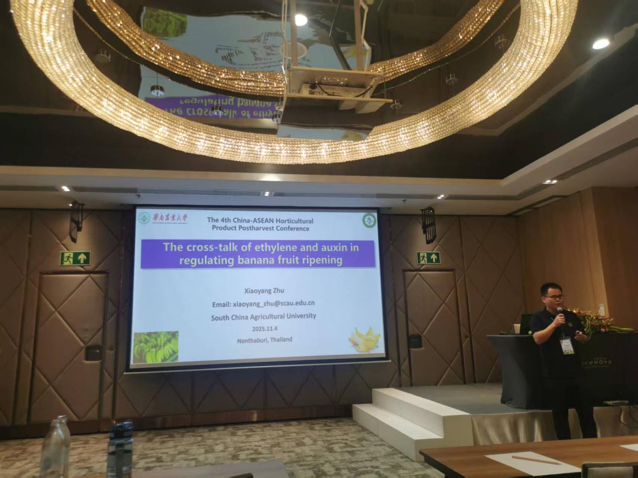 3d2d76ecc5c2477e1f28d2a207ce3cc8