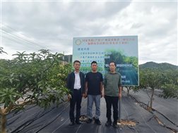 a0ff1a4f200025cfaa04d094d96705eb