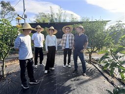 微信图片_20251222095325_82_2