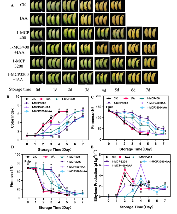 1764851291079.png 1764851291079.png