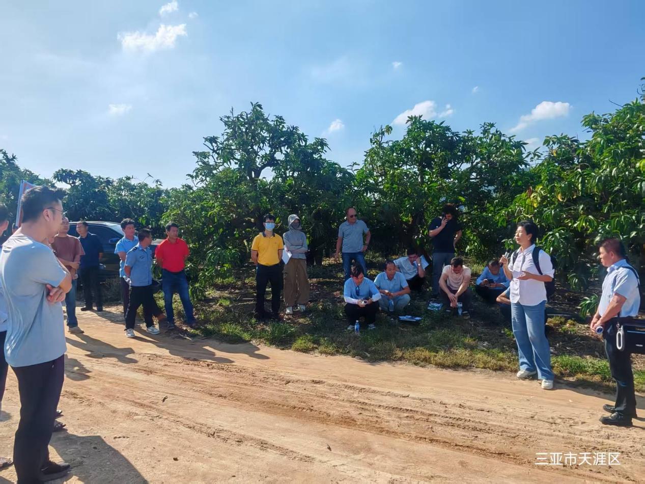 b5788f1085d5864ddddef730e1200ea0