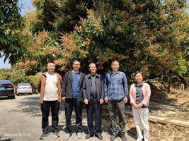 C:\Users\Administrator\Desktop\惠州2025.3.22\惠州品种调查\PIXT8762.JPG