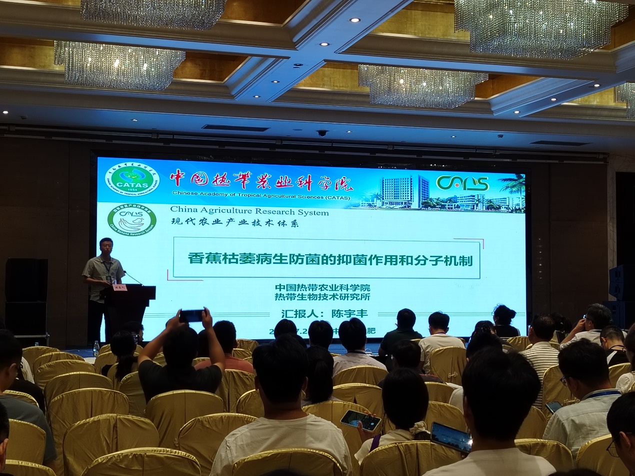 图片 1