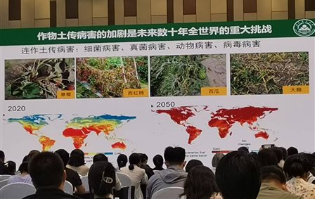 H:\在研课题\在研\国家现代农业产业技术体系（CARS-31）\报账\2025连作会议\微信图片_20250820114954.jpg