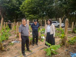 微信图片_20250804221909