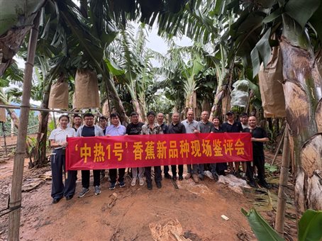 D:\团队宣传\2025\儋州道士查验会-2025\中热1号现场鉴评会-图1.jpg