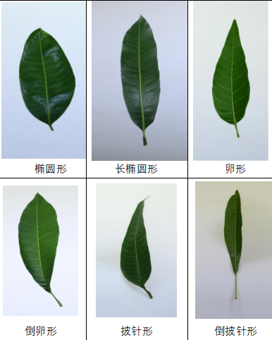 9365e199-c52a-4d05-a4ff-d926d9dcc699.png