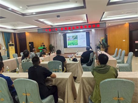 D:\团队宣传\2025\儋州道士查验会-2025\中热1号香蕉现场鉴评会-图2.jpg