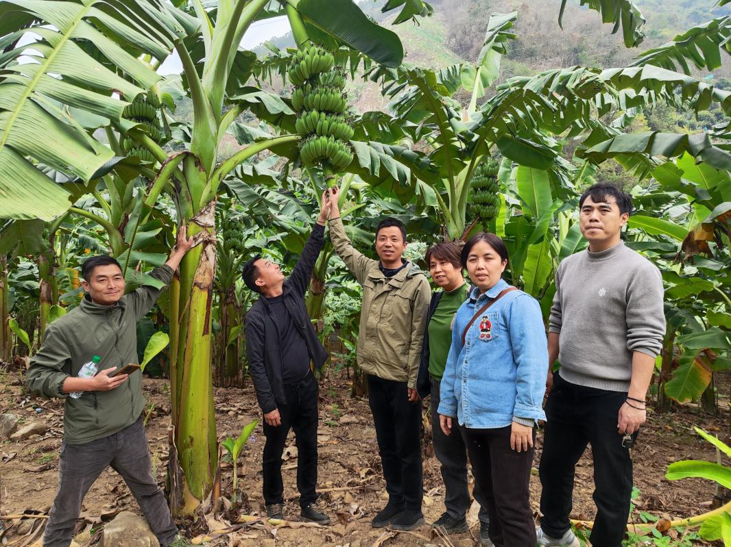 c1e4dd531aa86823f13ab22c7926e8a0