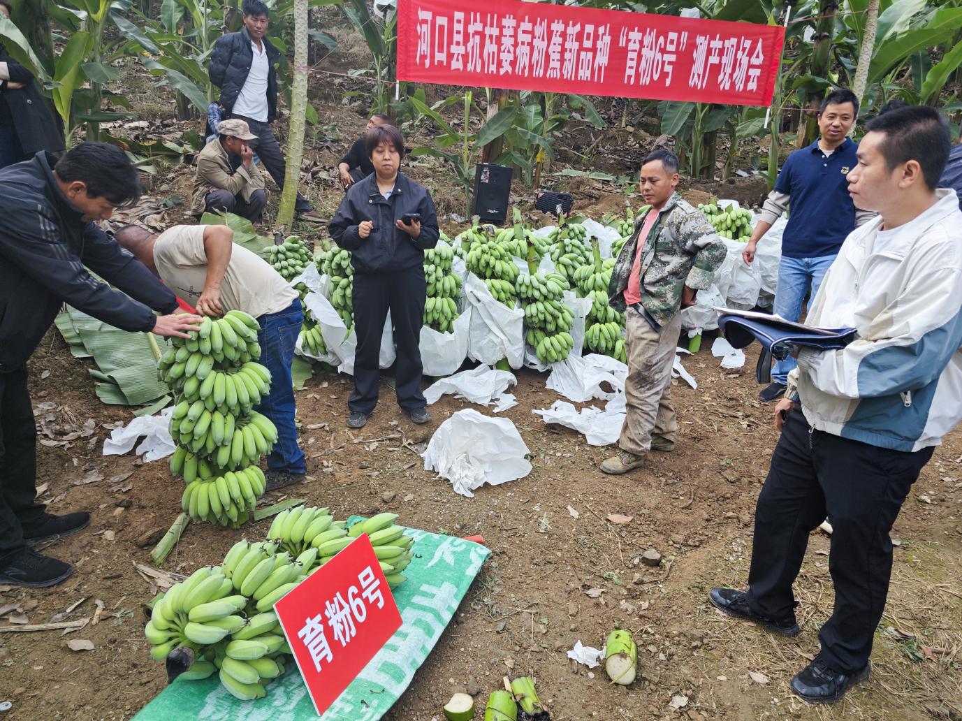 75ab3569cb6b59d1bbdc16c0bd7a3899