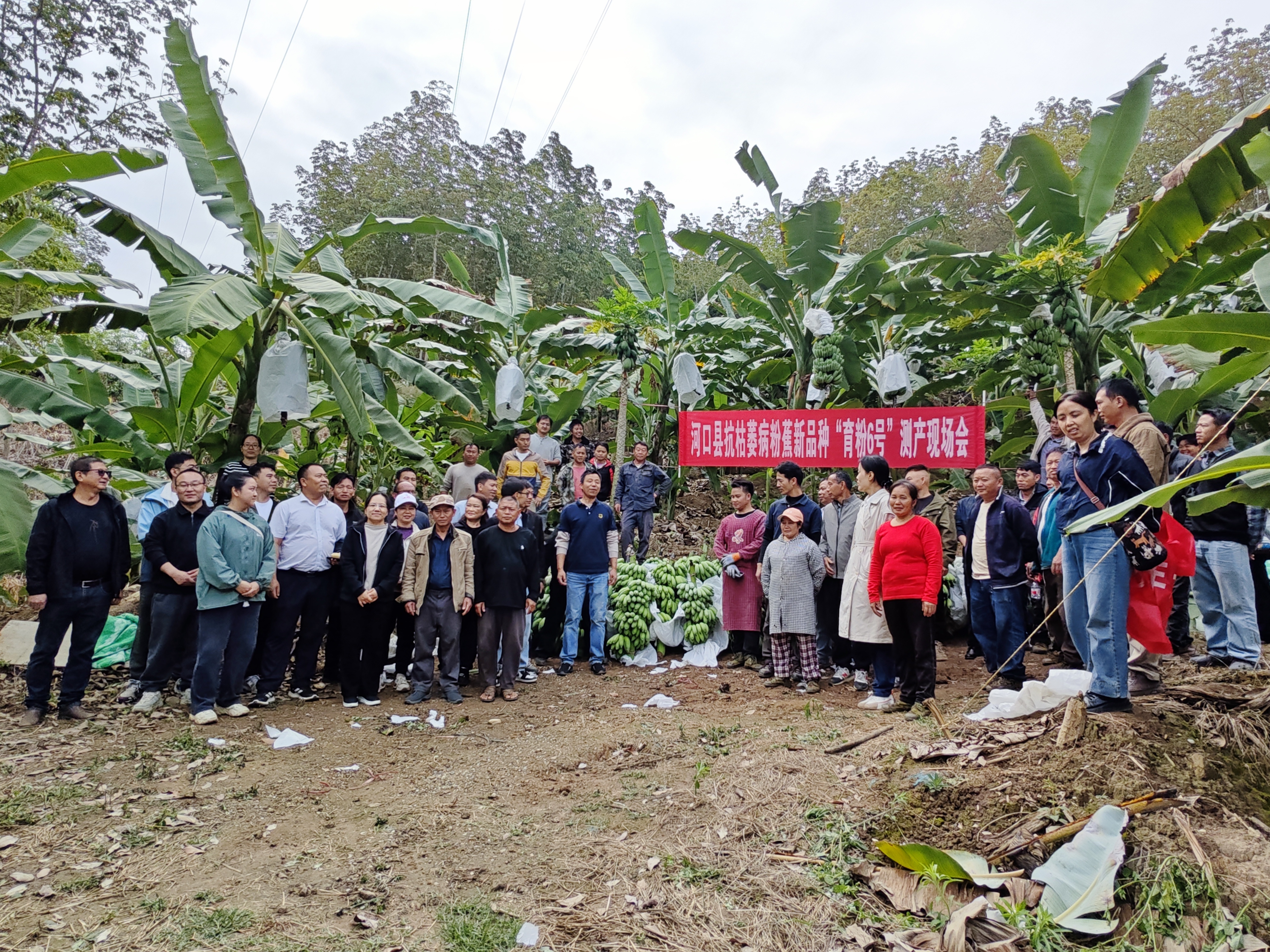 ae54a51dd4a03ae6aa86e0c276527abc