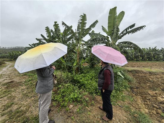 52482acc31235ad49727b9a510ecc48d