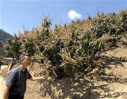 fe5f7a29912038f8443b7ceee0233d7b