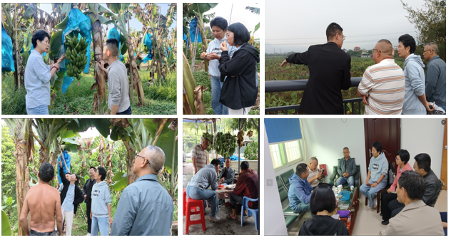 7cf56ef5-b420-408e-987a-957ba63feaf4