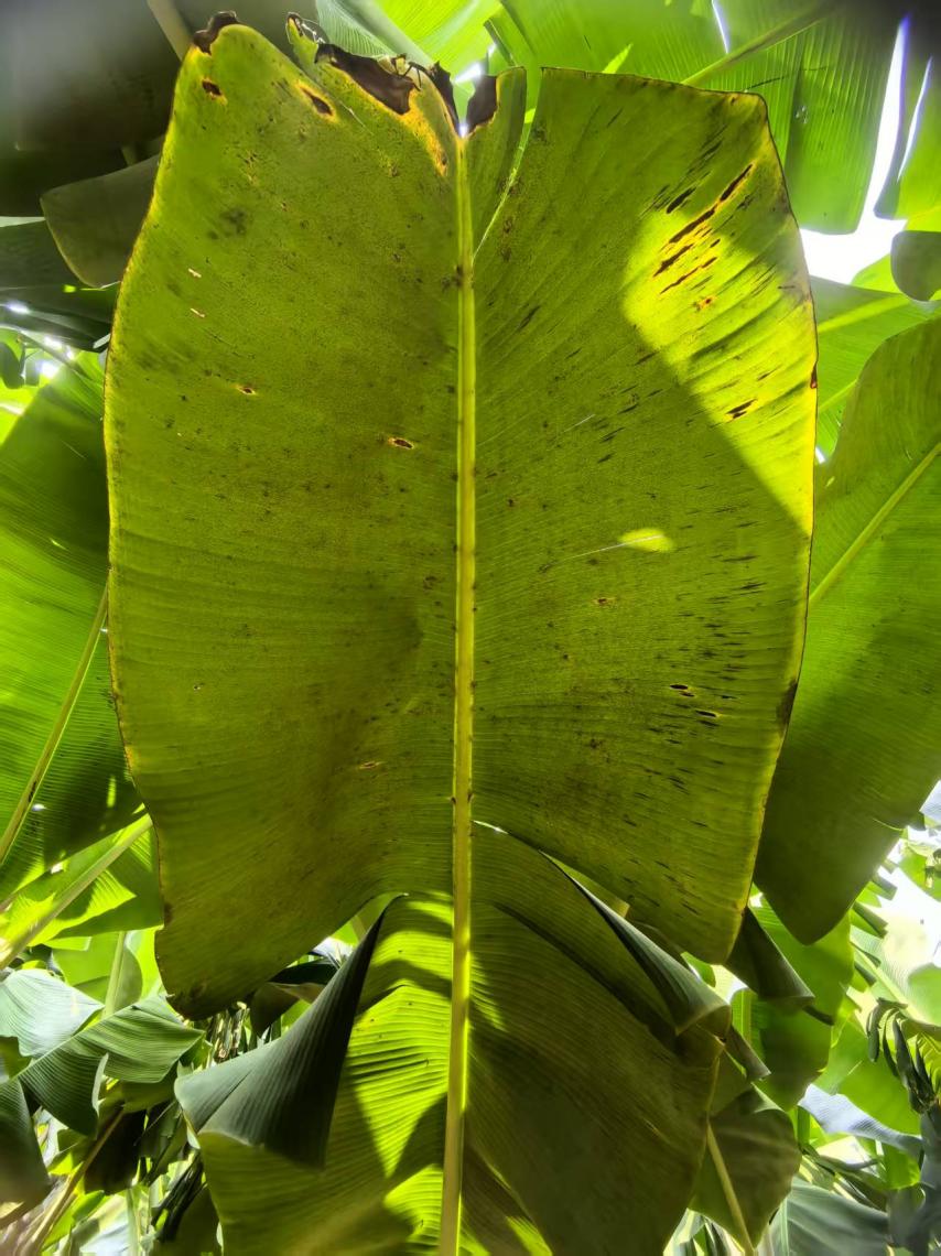 69d31771c382f782e88c522c02c97133