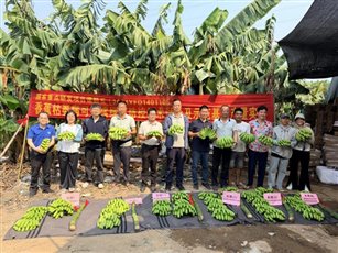 63e499115de9a2e6066c84f63ed7447