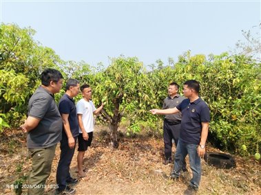 7212e44cac535c3e53b57322a96fc09f