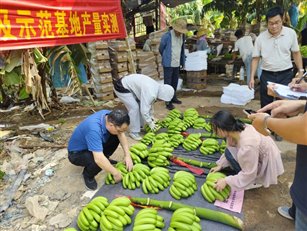 14c67963de04944faad17e6918f8478