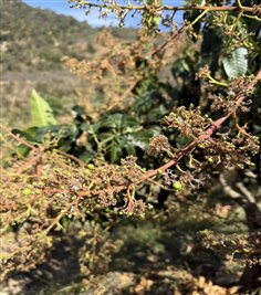 611da7089fe1f1e39897098f62d5768a