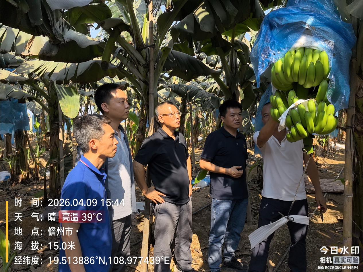 IMG_20260409_154422516