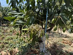 e02c5310c7c5772f42ea9c0cbfa3d9c1