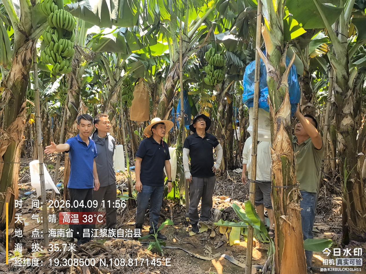 IMG_20260409_115625996