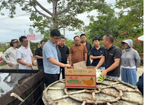 图片 3