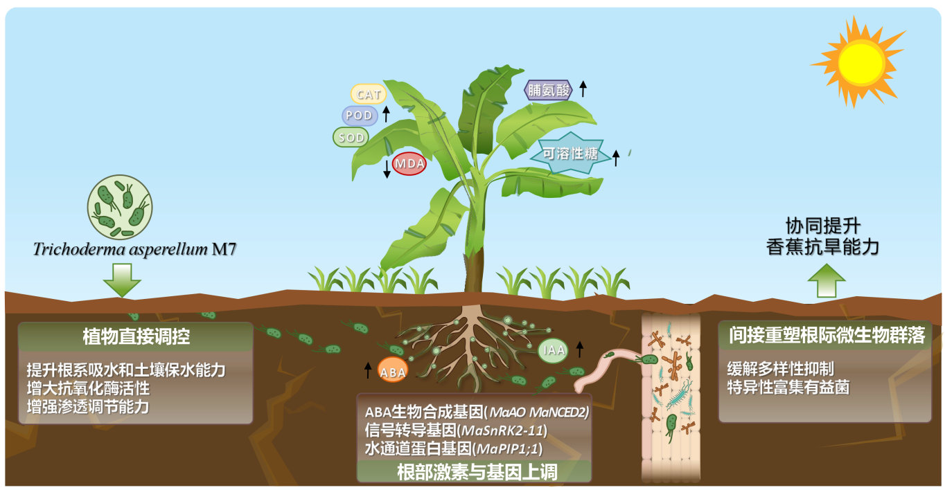4a53dd11-304f-4442-ac81-b68087c83162.png
