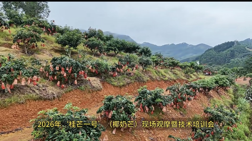 微信图片_20260717091243_328_49.jpg