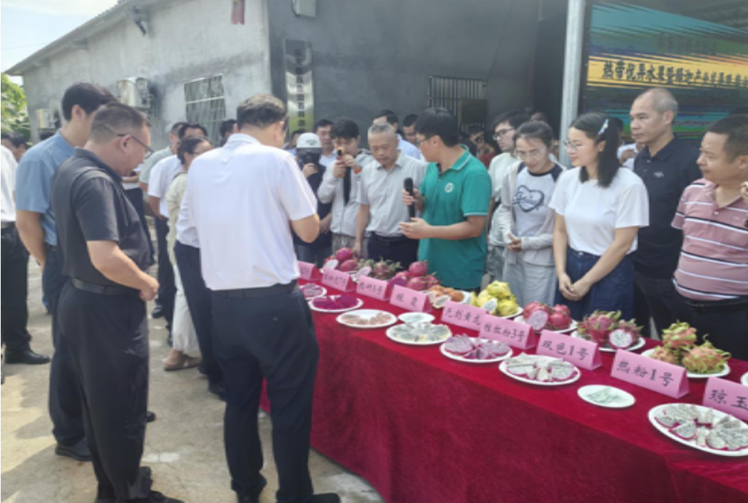 微信图片_20260821145113_24_14.png 微信图片_20260821145113_24_14.png