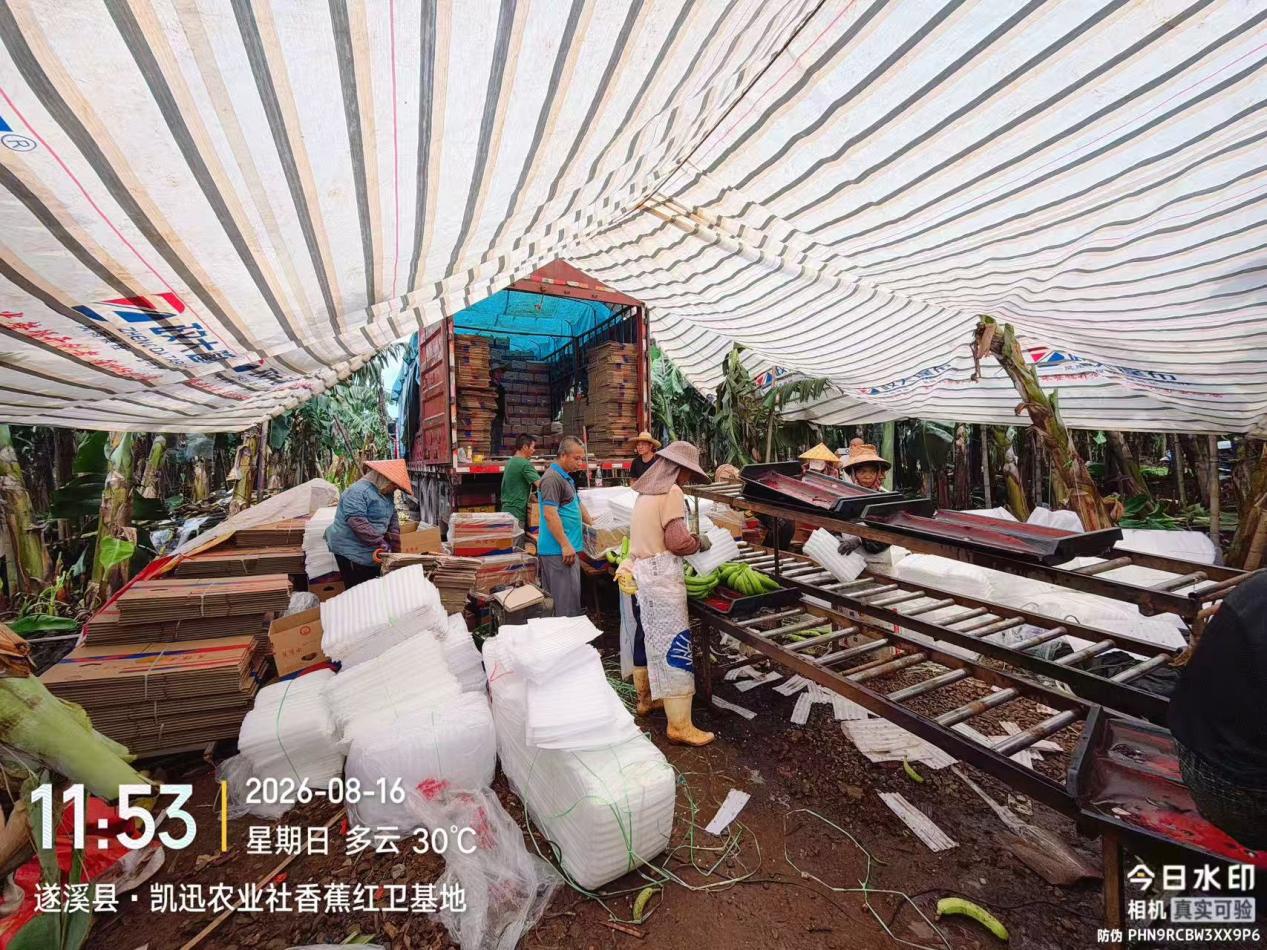 微信图片_20260817170855_682_709